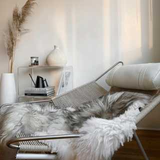 Image by carmenrjavier Image by carmenrjavier