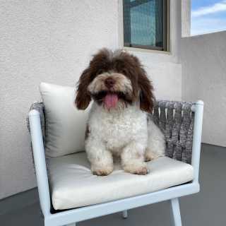 Image by Matthew Image by Matthew