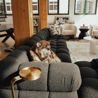 Image by millymadedc Image by millymadedc