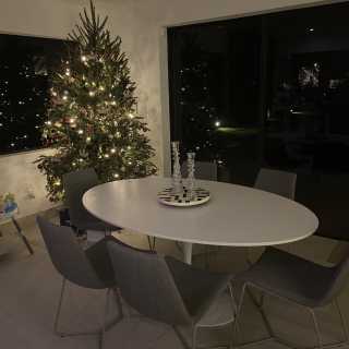 Image by Alessia Image by Alessia