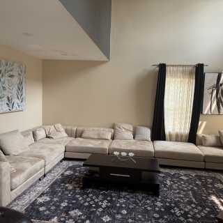 Image by Namrita Yadav