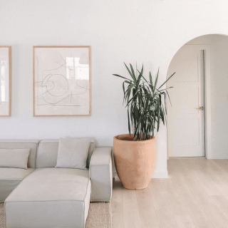 Image by yana.sushchik Image by yana.sushchik