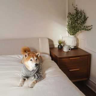 Image by mensweardog Image by mensweardog